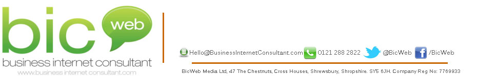 Business Internet Consultant