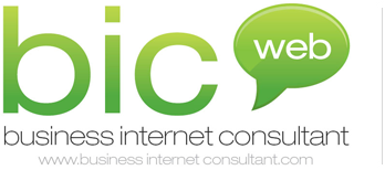 Business Internet Consultant